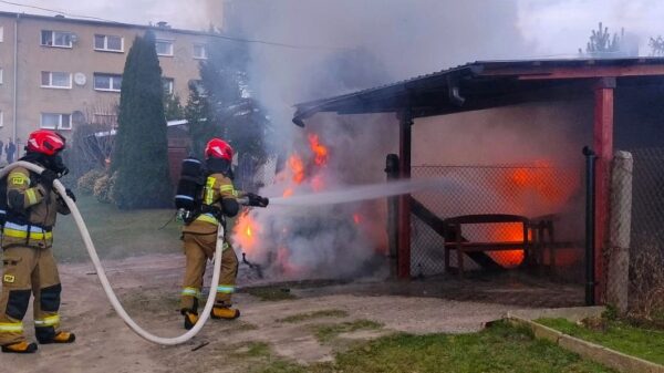 Pożar samochodu w miejscowości Rożnów.