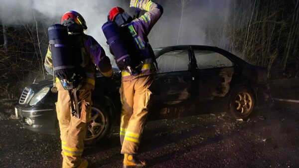 Pożar mercedesa na drodze powiatowej pomiędzy miejscowościami Błota i Leśna Woda.