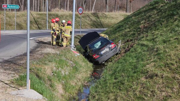 Kierujący mercedesem przejechał prosto przez rondo, wpadł autem do rowu i uciekł piechotom do lasu.