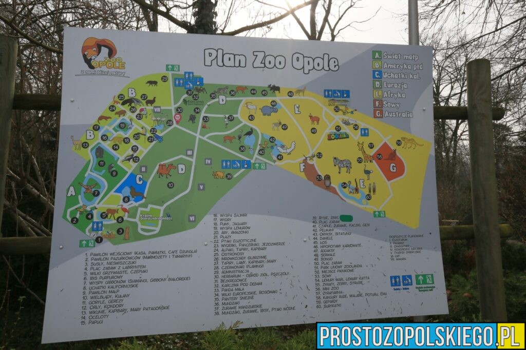 akwarium w opolu, zoo, zoo opole, opolski ogród zoologiczny, akwarium w zoo, wodny świat, rekiny w opolu, akwarium morskie w zoo, opole zoo, 