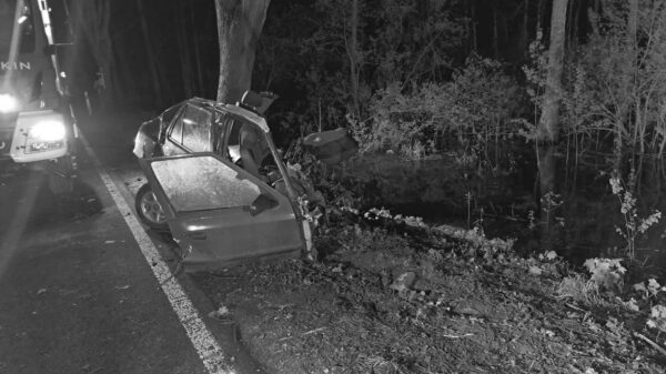 Wypadek samochodowy w Jastrzygowicach w powiecie oleskim. Nie żyje 25-letni kierowca skody .(Zdjęcia)