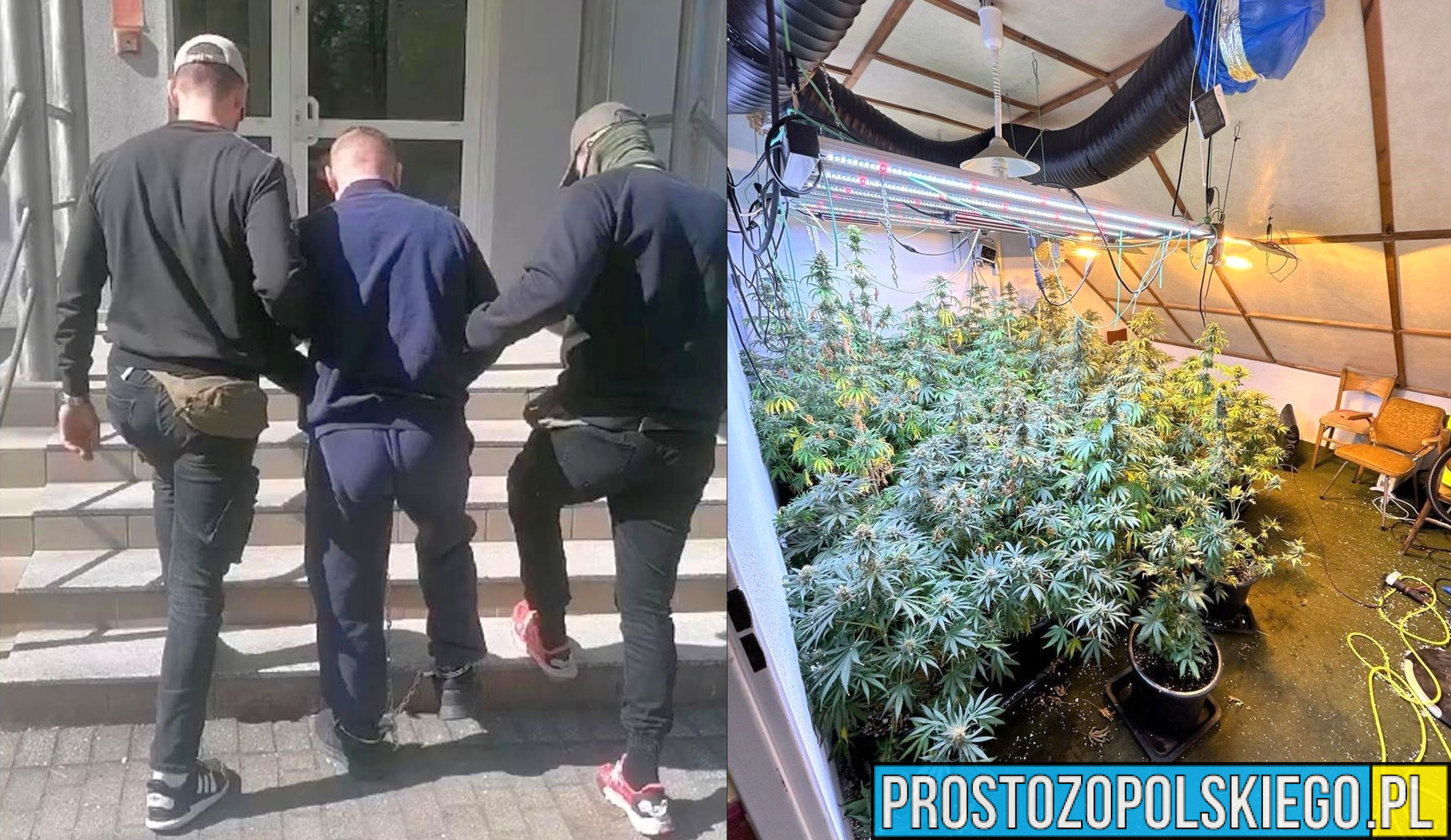 Policjanci zatrzymali dwóch mężczyzn w wieku 29 i 36 lat, którzy zajmowali się przemycaniem narkotyków z terytorium Królestwa Niderlandów na teren RP.