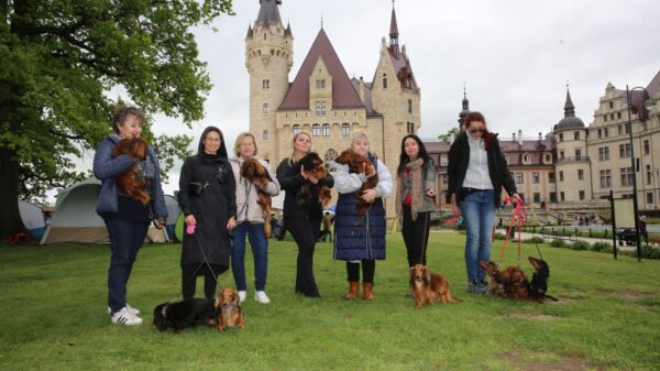 Zapraszamy na Międzynarodową Wystawę Psów Rasowych na Zamku w Mosznej!