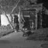 Tragiczne zdarzenie na ul. Tatrzańskiej w Opolu. Nie żyje kobieta znaleziona w wiacie śmietnikowej.(Wideo)