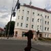 Rój pszczół na skrzyżowaniu w Opolu.(Wideo)