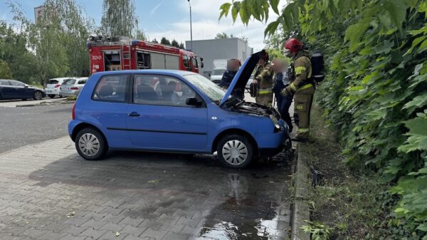 Pożar samochodu na terenie jednego z marketów na ul. Budowalnych w Opolu. (Zdjęcia)