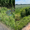 Zderzenie motocyklisty z rowerzystą na trasie Ligota Książęca-Brzozowiec. 16 i 18-latek zabrani do szpitala.(Zdjęcia)