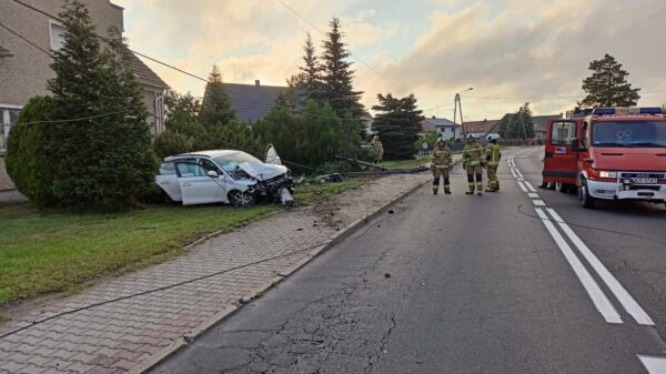 Wypadek w Straduni. 27-latek wjechał Seatem w słupy energetyczne, mając 2,5 promila.