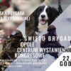 Terytorialsi zapraszają na rodzinny piknik oraz uroczystości wojskowe.