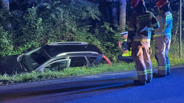 Wypadek na drodze Cisowa-Kuźniczki. Kierujący autem wjechał do rowu.