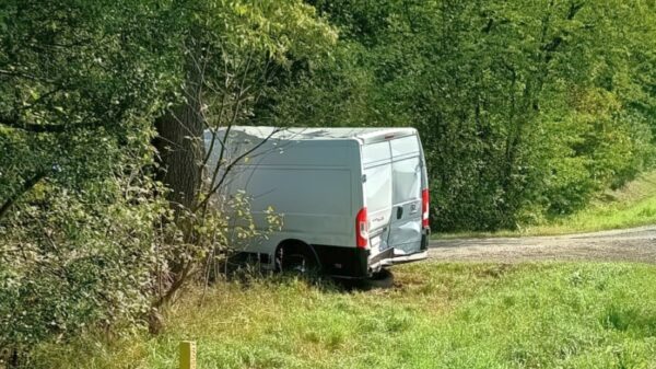 Zderzenie dwóch samochodów dostawczych na trasie Kamienna-Gręboszów na DK42 w powiecie namysłowskim.