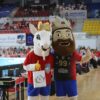 ZAKSA Kędzierzyn-Koźle – Nowak –Mosty MKS Będzin 3:0