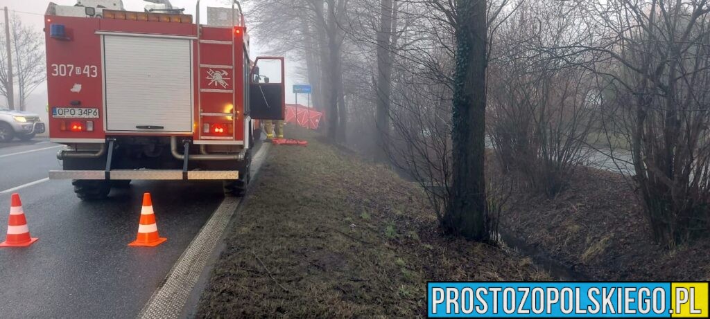 Wypadek Tułowice Małe. Czołowe zderzenie dwóch aut. Jedna osoba zabrana do szpitala (Zdjęcia)