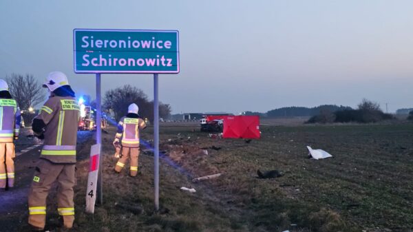 Podsumowanie ferii zimowych na drogach Opolszczyzny