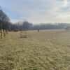 Wypadek przy wycince drzew w lesie. Ranny został mężczyzna z urazem głowy. Na miejscu lądował LPR Ratownik23