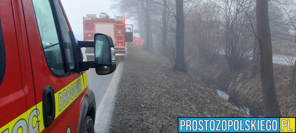 Wypadek Tułowice Małe. Czołowe zderzenie dwóch aut. Jedna osoba zabrana do szpitala (Zdjęcia)