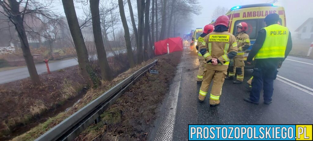Wypadek Tułowice Małe. Czołowe zderzenie dwóch aut. Jedna osoba zabrana do szpitala (Zdjęcia)