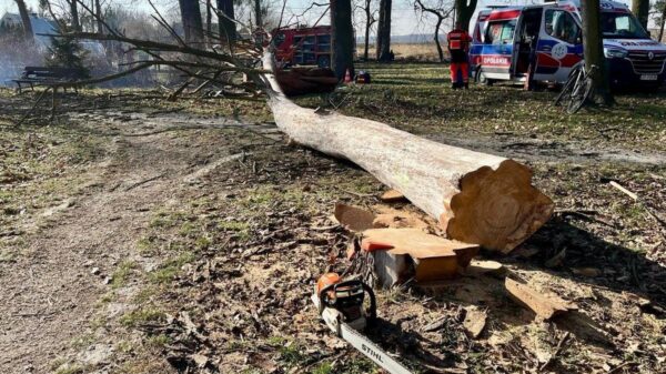 Szybka i skuteczna reakcja funkcjonariuszy zapobiegła dwóm tragediom