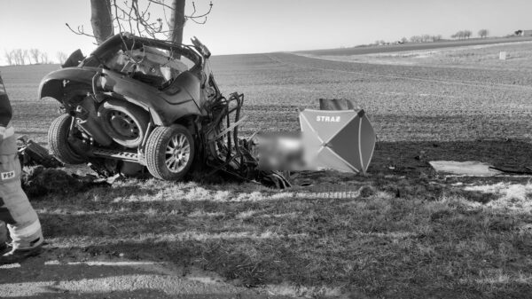 Policjanci wyjaśniają okoliczności tragicznego wypadku na trasie Jędrzychów- Goświnowice w powiecie nyskim