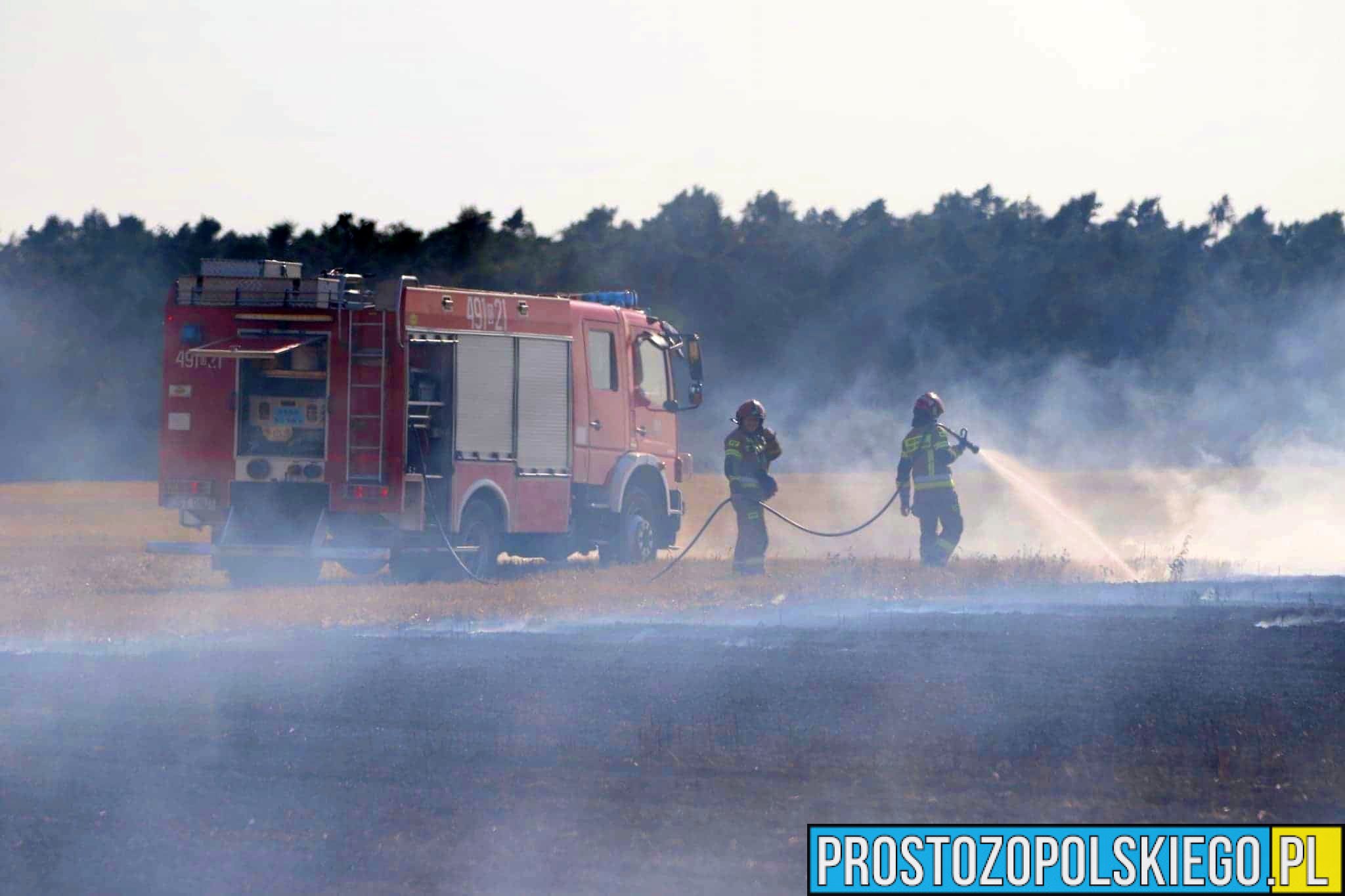 Wypalanie traw to śmiertelne niebezpieczeństwo – Policja ostrzega przed tragicznymi skutkami nieodpowiedzialności