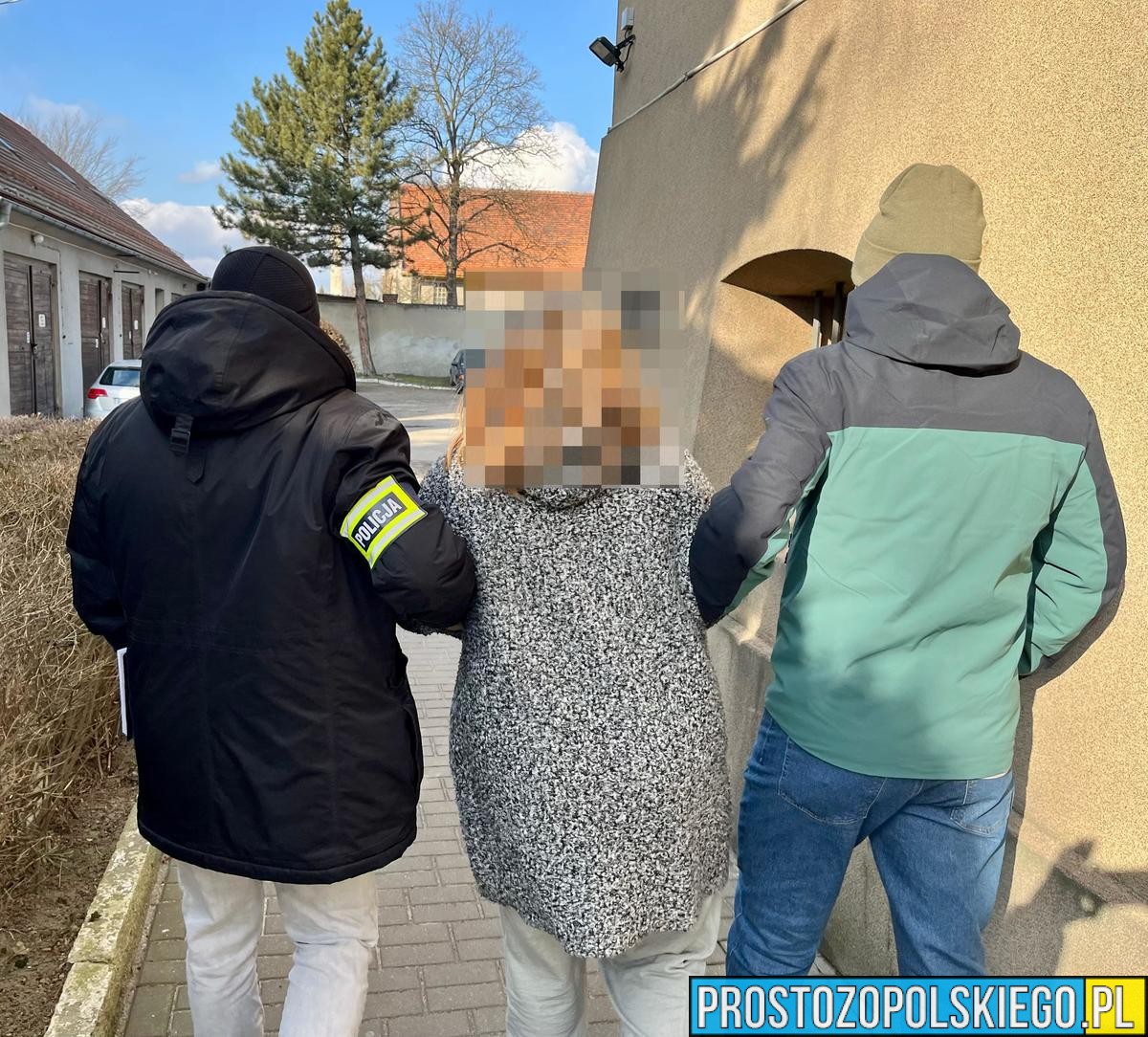 Policjanci z Kluczborka zatrzymali oszustów internetowych