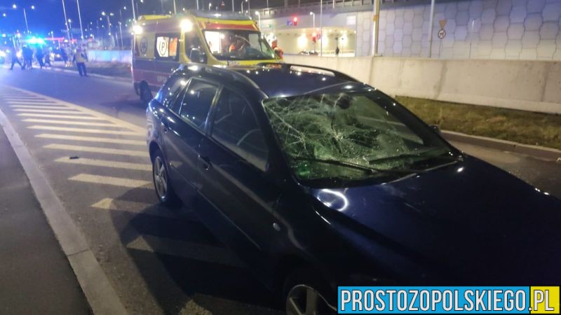 Potrącenie kobiety z dwójką dzieci i psem na pasach w Opolu