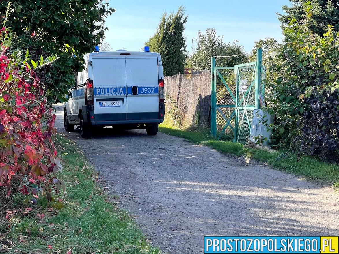 Włamał się do altany ogrodowej i posiadał narkotyki - został zatrzymany przez nyskich policjantów