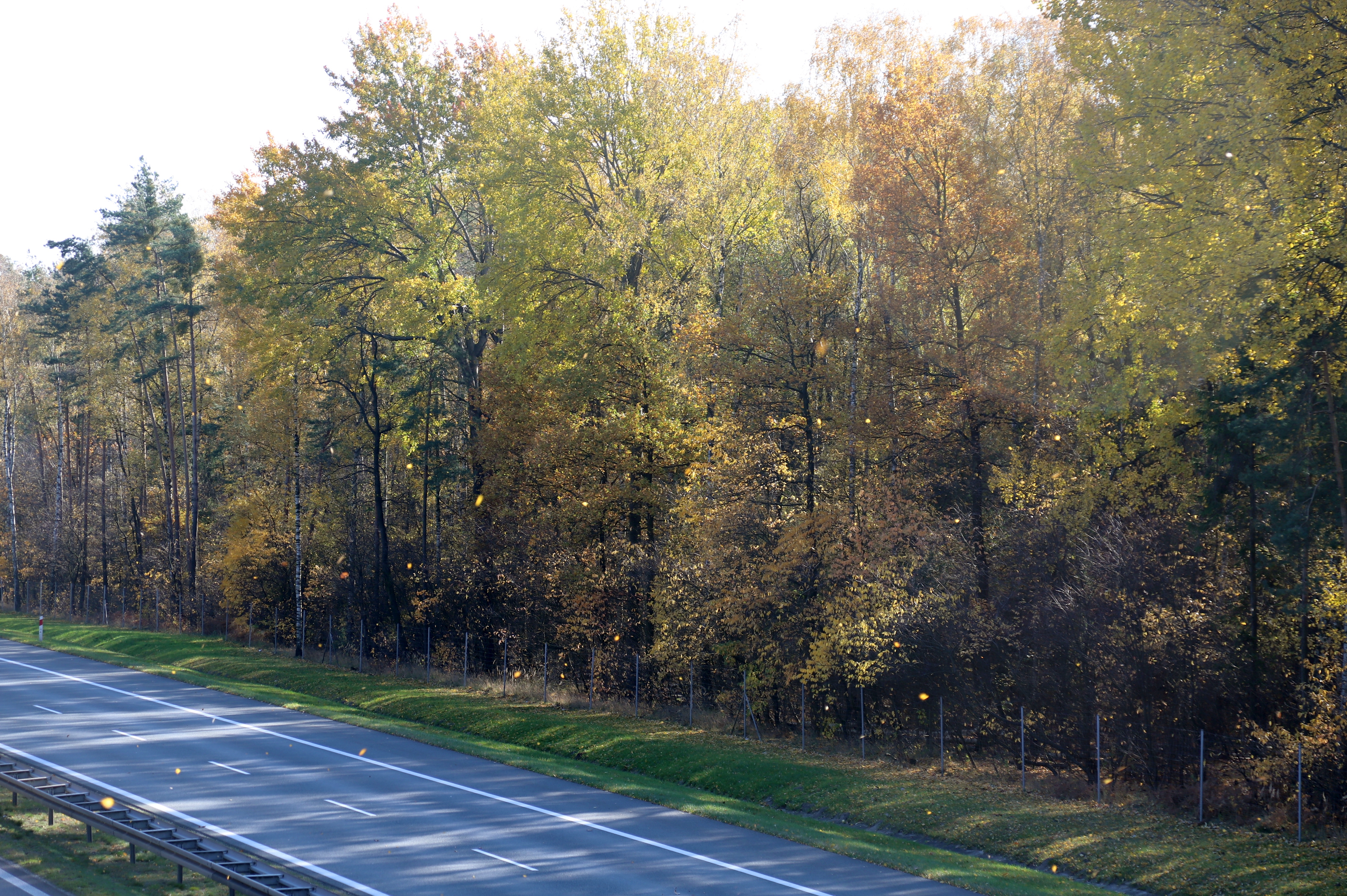 32-latka, będąc w kryzysie emocjonalnym, zostawiła pożegnalny list.Policjanci …