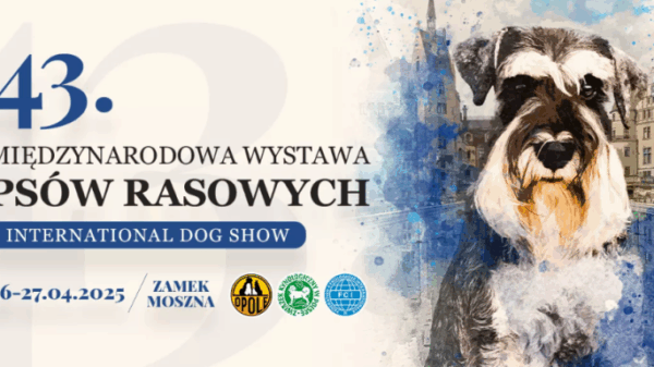 43 Międzynarodowa wystawa psów rasowych w Mosznej