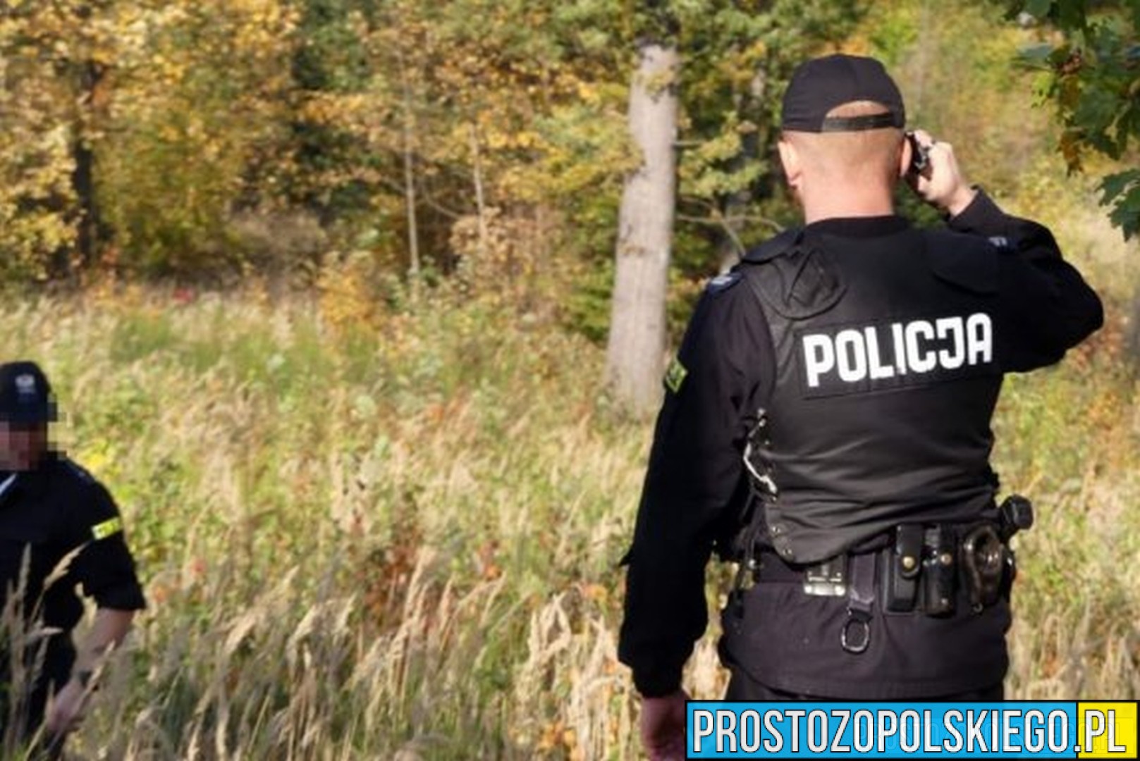 Głubczyccy policjanci prowadzą czynności zmierzające do ustalenia sprawcy uśmiercenia kota ze szczególnym okrucieństwem