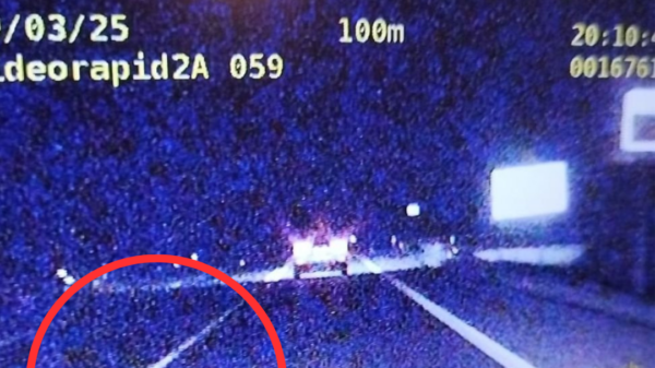 Kolejni kierowcy zatrzymani za niebezpieczną jazdę i stracili prawo jazdy