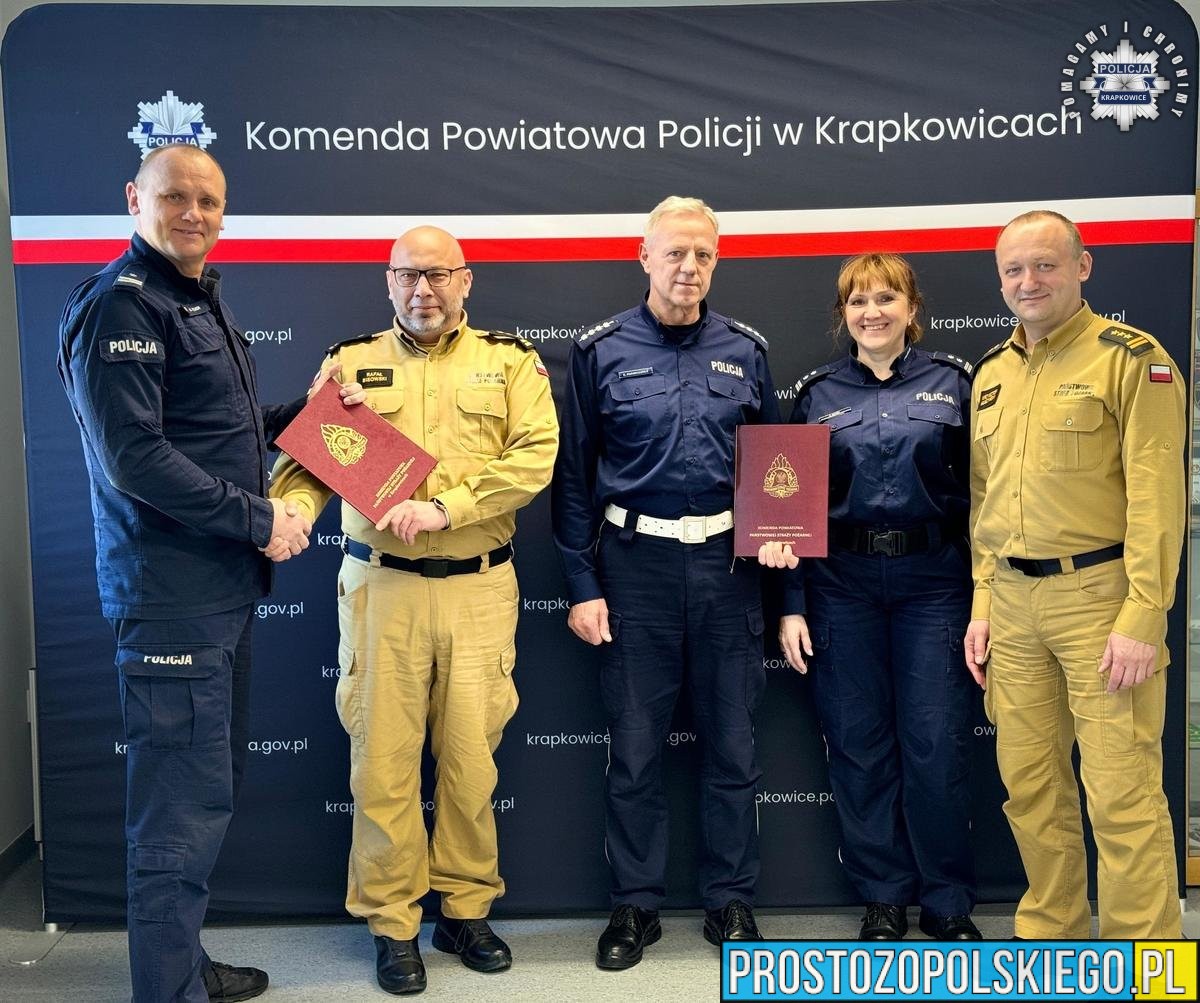 Szkolenie z zakresu bezpieczeństwa w ruchu drogowym