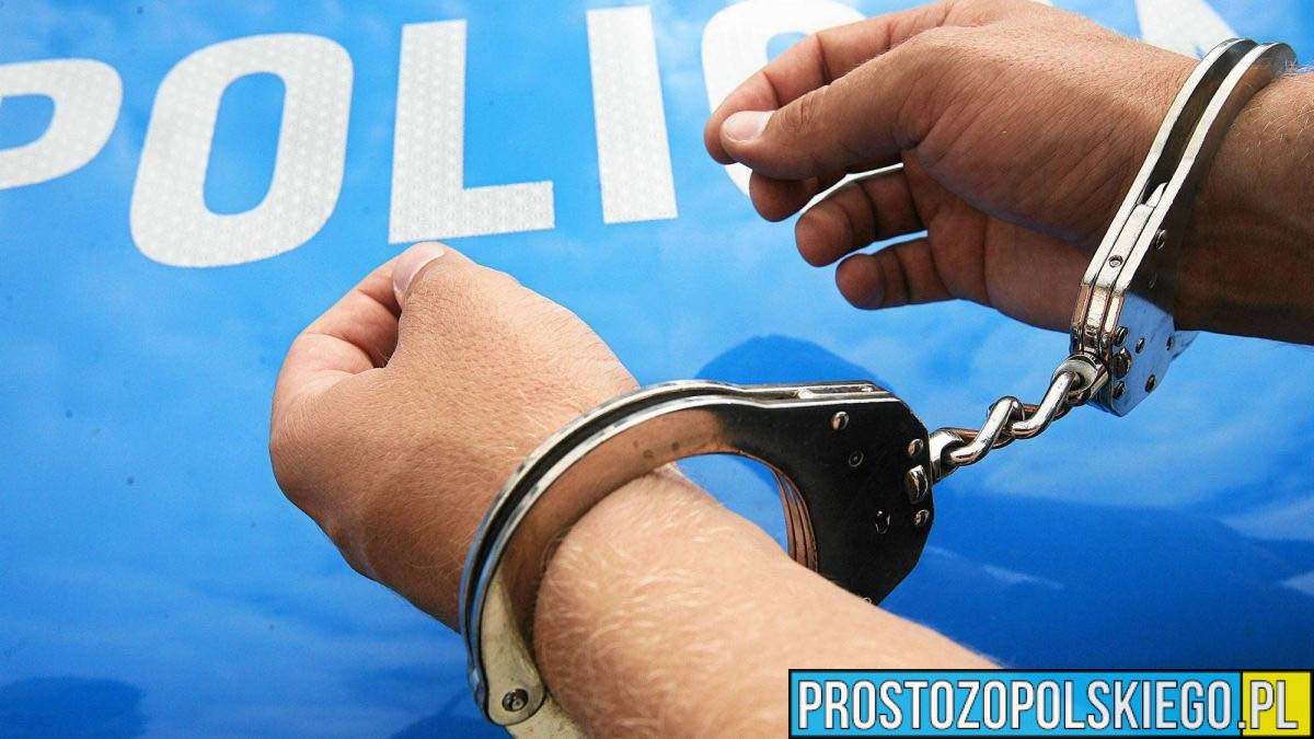 Jechał na „podwójnym gazie”, a na koncie miał liczne kradzieże – 28-letni obywatel Ukrainy deportowany