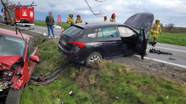 Wypadek na DK46 w miejscowości Grabin. Cztery osoby zabrane do szpitala
