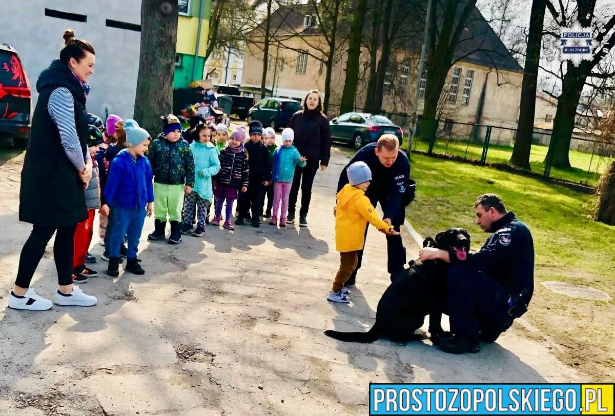 Czworonożni funkcjonariusze w akcji - pokaz tresury zachwycił dzieci