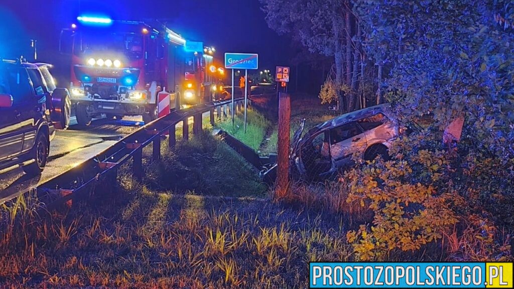 Dachowanie Forda w Grodźcu koło Ozimka – autem podróżowały dwie osoby