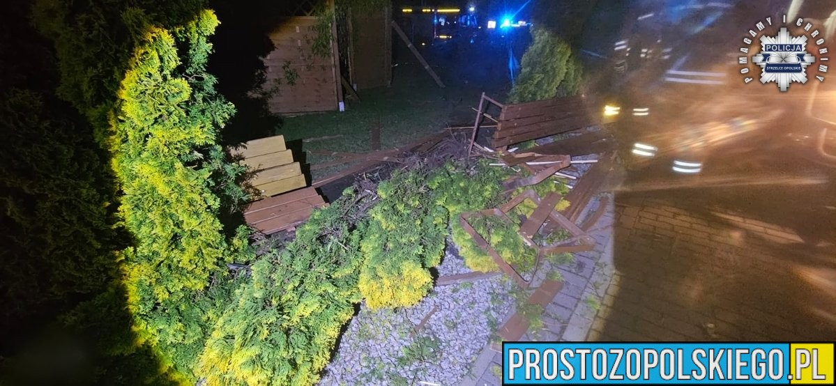 pijany kolumbijczyk, wypadek wypadek zimna wódka, wypadek strzelce, wjechał autem w garaż, staranował posesję,