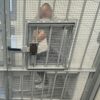 Zgłosił się na policję i nie wyszedł – był poszukiwany
