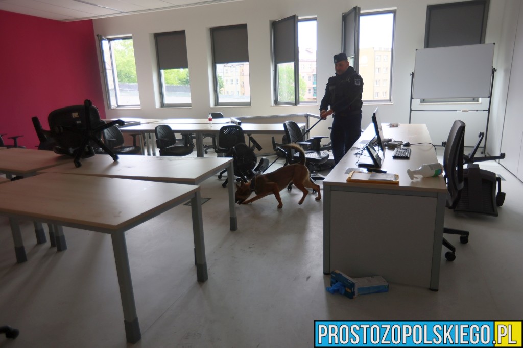 Plan Zdarzenia Masowego, Ćwiczenia Służb Ratunkowych, w Opolu,