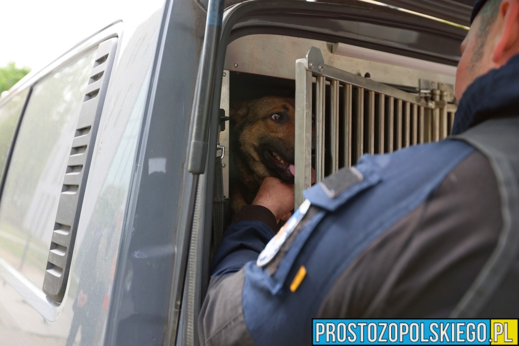 Plan Zdarzenia Masowego, Ćwiczenia Służb Ratunkowych, w Opolu,