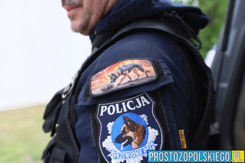 Plan Zdarzenia Masowego, Ćwiczenia Służb Ratunkowych, w Opolu,