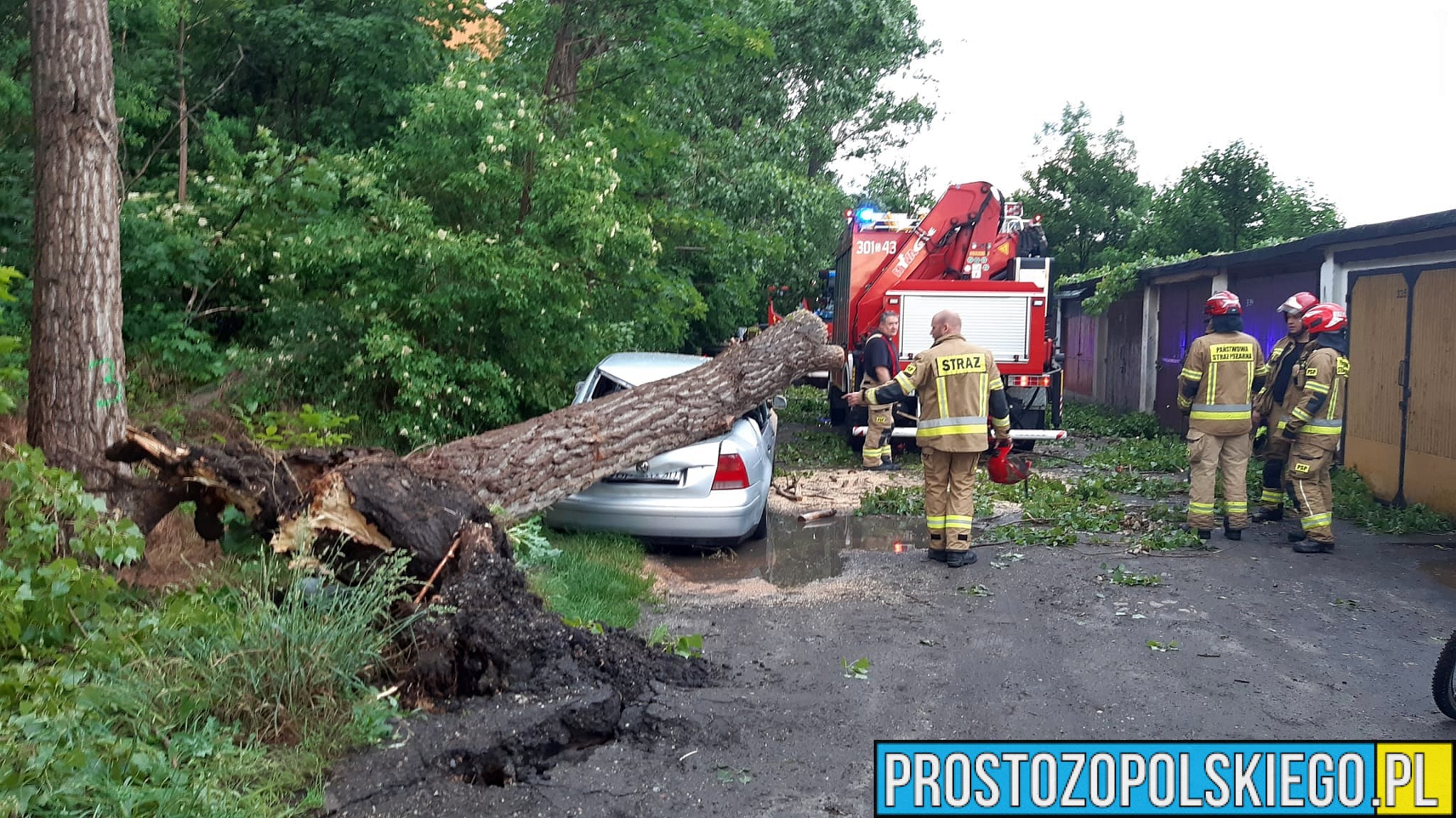 burza, burza opole, burza nad opolem, gwałtowna burza w Opolu, połamane drzewa, skutki burzy, strażacy usuwają skutki burzy,