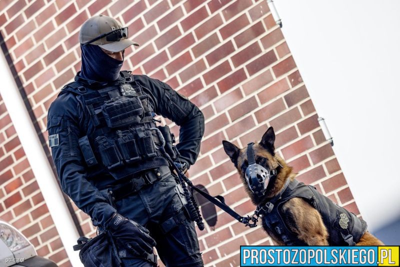 europejskie ćwiczenia K9, k9, ćwiczenia k9, wojsko ćwiczy, wojskowe ćwiczenia, wojskowe ćwiczenia k9,