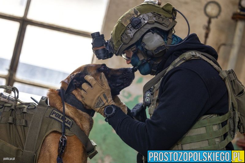 europejskie ćwiczenia K9, k9, ćwiczenia k9, wojsko ćwiczy, wojskowe ćwiczenia, wojskowe ćwiczenia k9,