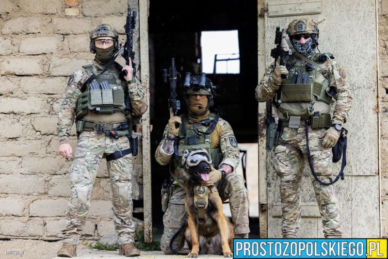 europejskie ćwiczenia K9, k9, ćwiczenia k9, wojsko ćwiczy, wojskowe ćwiczenia, wojskowe ćwiczenia k9,