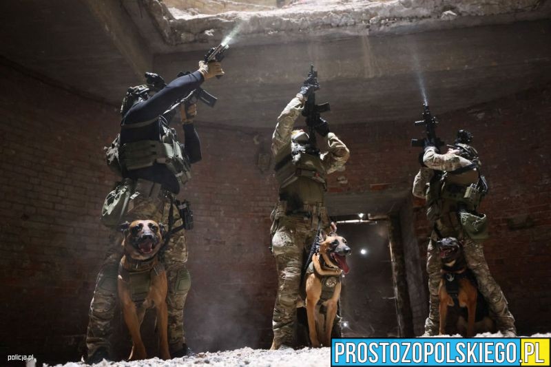 europejskie ćwiczenia K9, k9, ćwiczenia k9, wojsko ćwiczy, wojskowe ćwiczenia, wojskowe ćwiczenia k9,