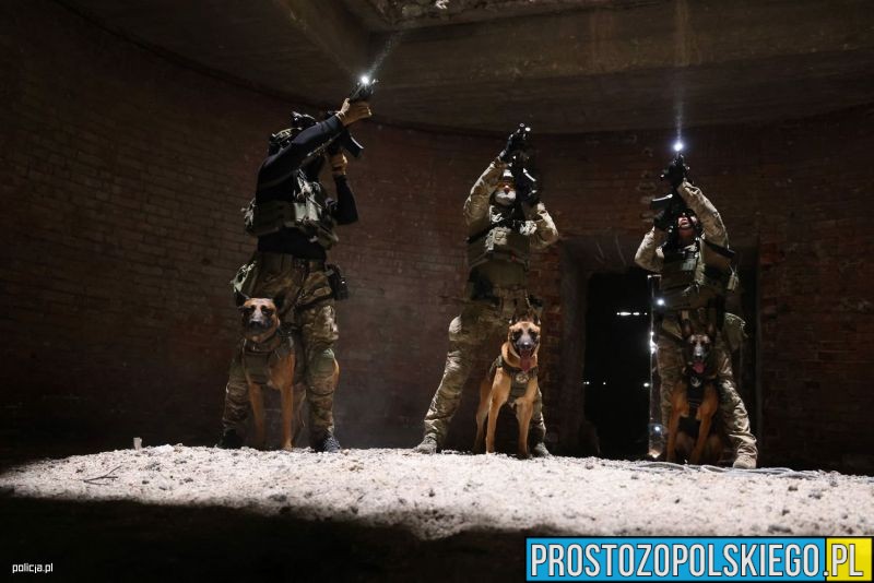 europejskie ćwiczenia K9, k9, ćwiczenia k9, wojsko ćwiczy, wojskowe ćwiczenia, wojskowe ćwiczenia k9,