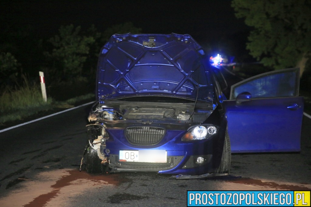 tragiczny wypadek, potrącenie mężczyzny, potrącenie osoby, zderzenie camochodu z człowiekiem, wypadk skarbiszów, wypadek karczów,