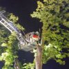 Piorun uderzył w drzewo w Opolu-Sławicach. Interweniowali strażacy