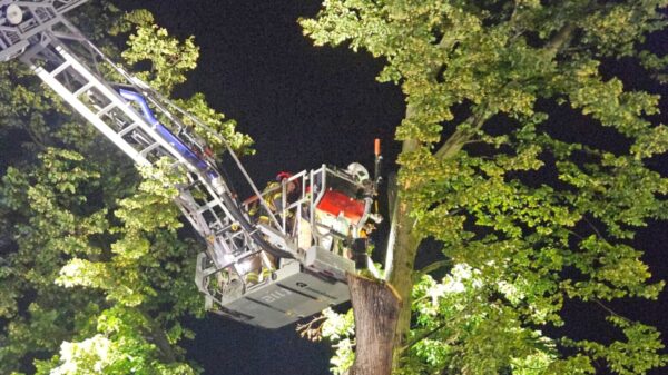 Piorun uderzył w drzewo w Opolu-Sławicach. Interweniowali strażacy